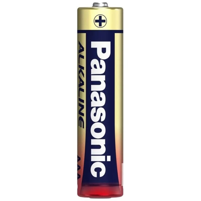 PANASONIC AA ALkaline 2pcs
