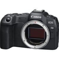 canon R8 body only